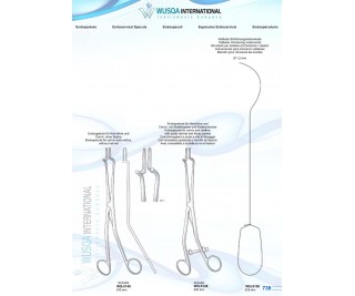 Endocervicale Forceps 